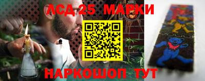 индика Сланцы