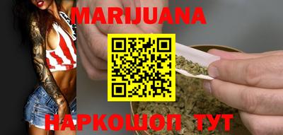 индика Сланцы