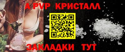 индика Сланцы
