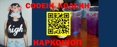 индика Сланцы