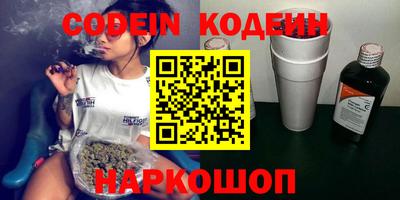 индика Сланцы