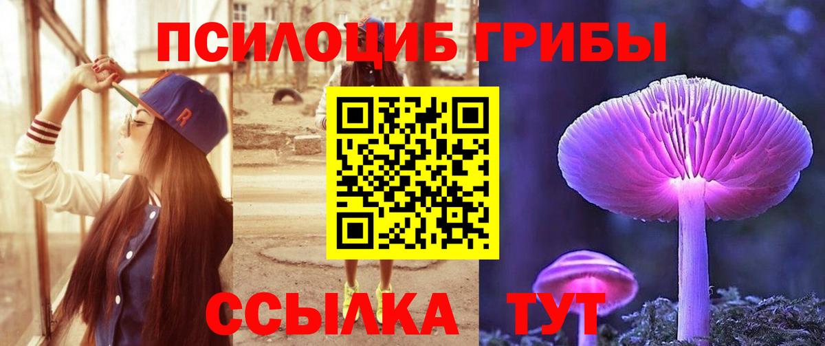Галлюциногенные грибы прущие грибы  Псилоцибиновые грибы ЛСД  Вход с VPN  продажа наркотиков  Можайск 